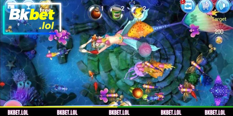 Avaliação de apostas e taxas de retorno