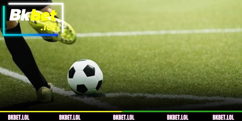 Experiência e dicas de especialistas para lucrar