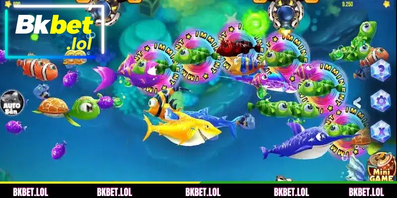 Modo de pesca web comum