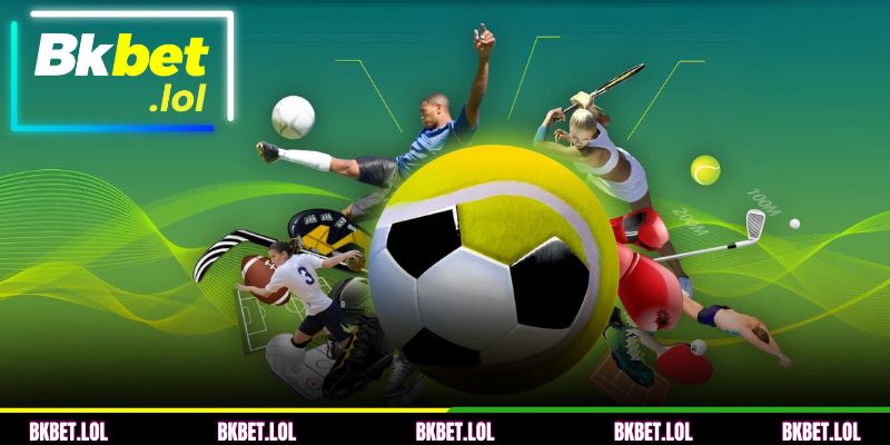 Visão geral da plataforma de esportes BKBET